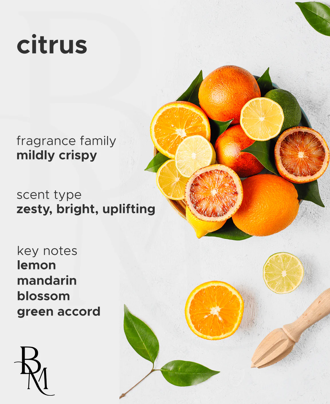 Citrus - Image 5