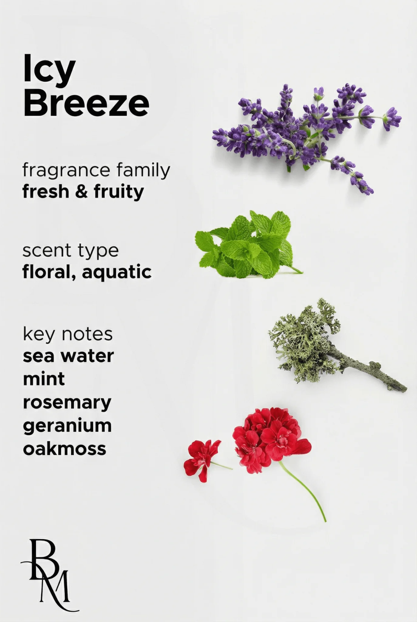 Icy Breeze - Image 5