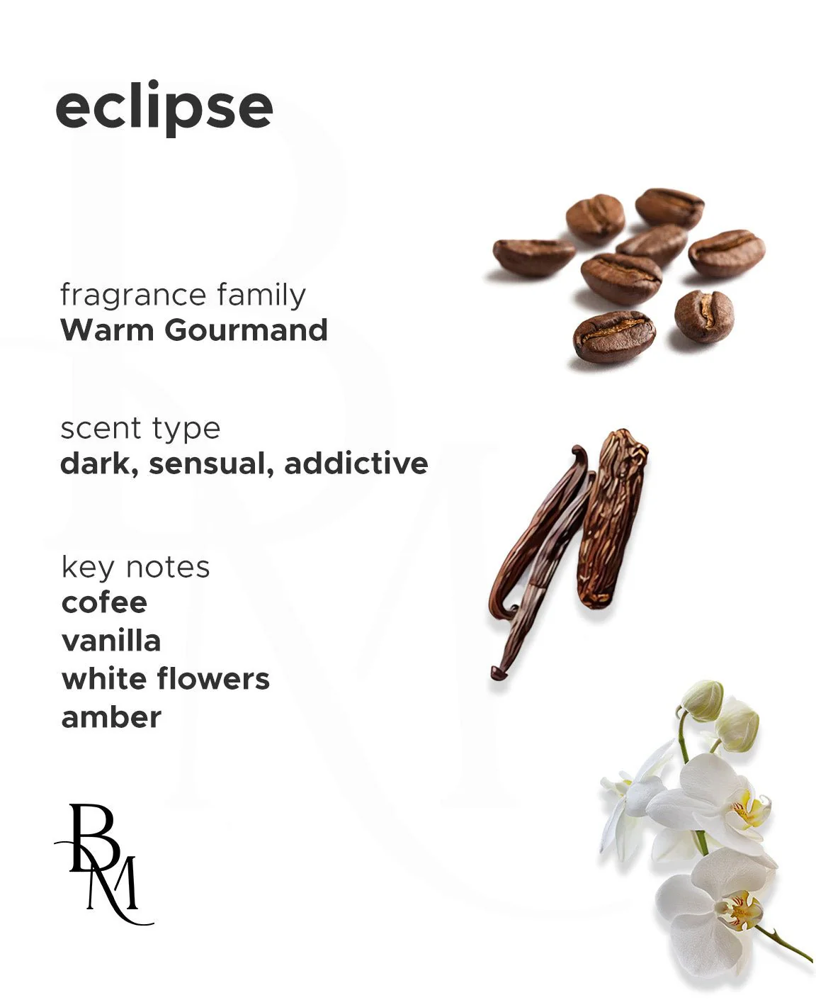 Eclipse - Image 4