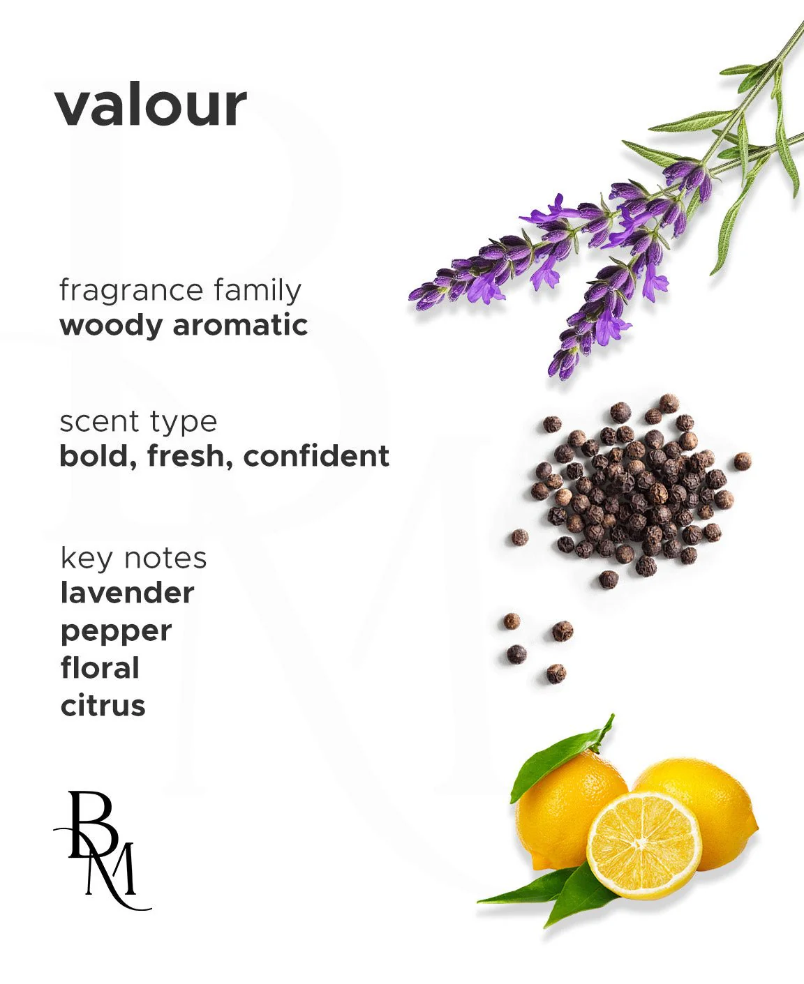 Valour - Image 4